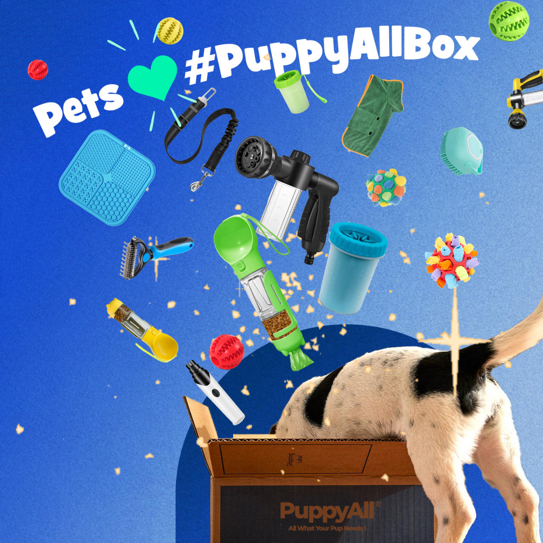PuppyAll Box